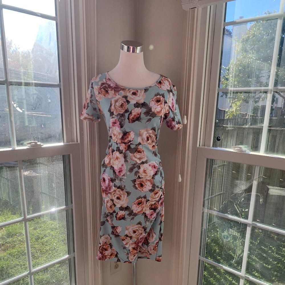 Pink Blush Light Blue Floral Maternity Dress